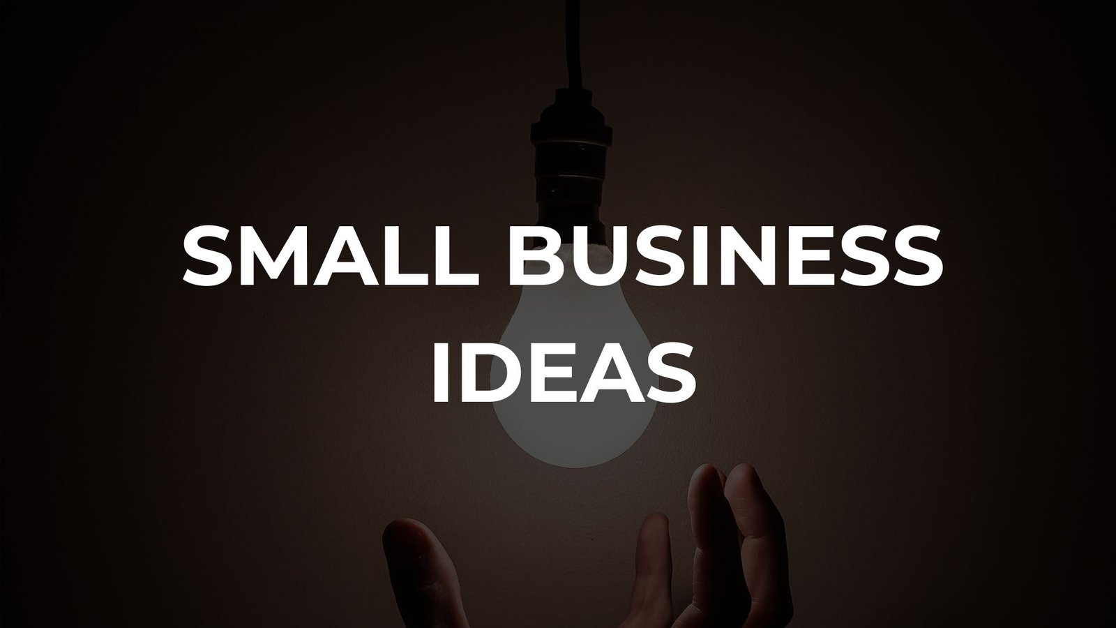 Small Business Ideas